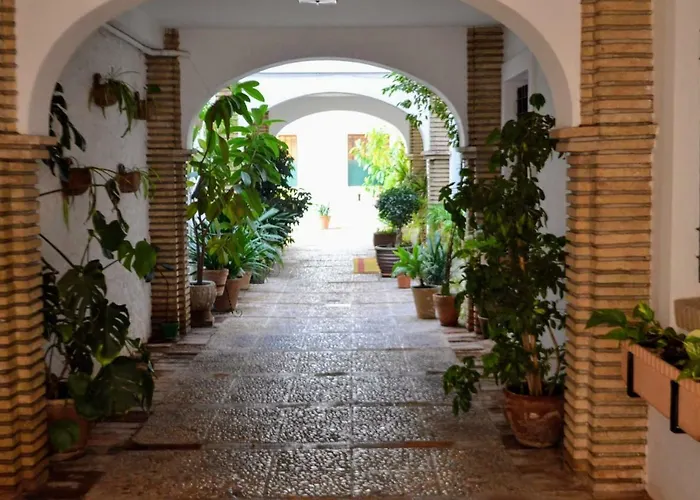 El Patio De La Aljama *