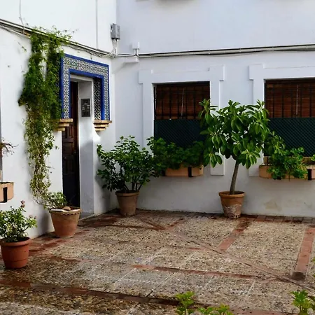 El Patio De La Aljama Cordoue
