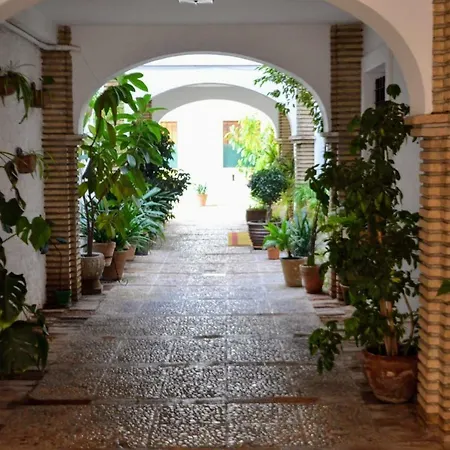 El Patio De La Aljama *